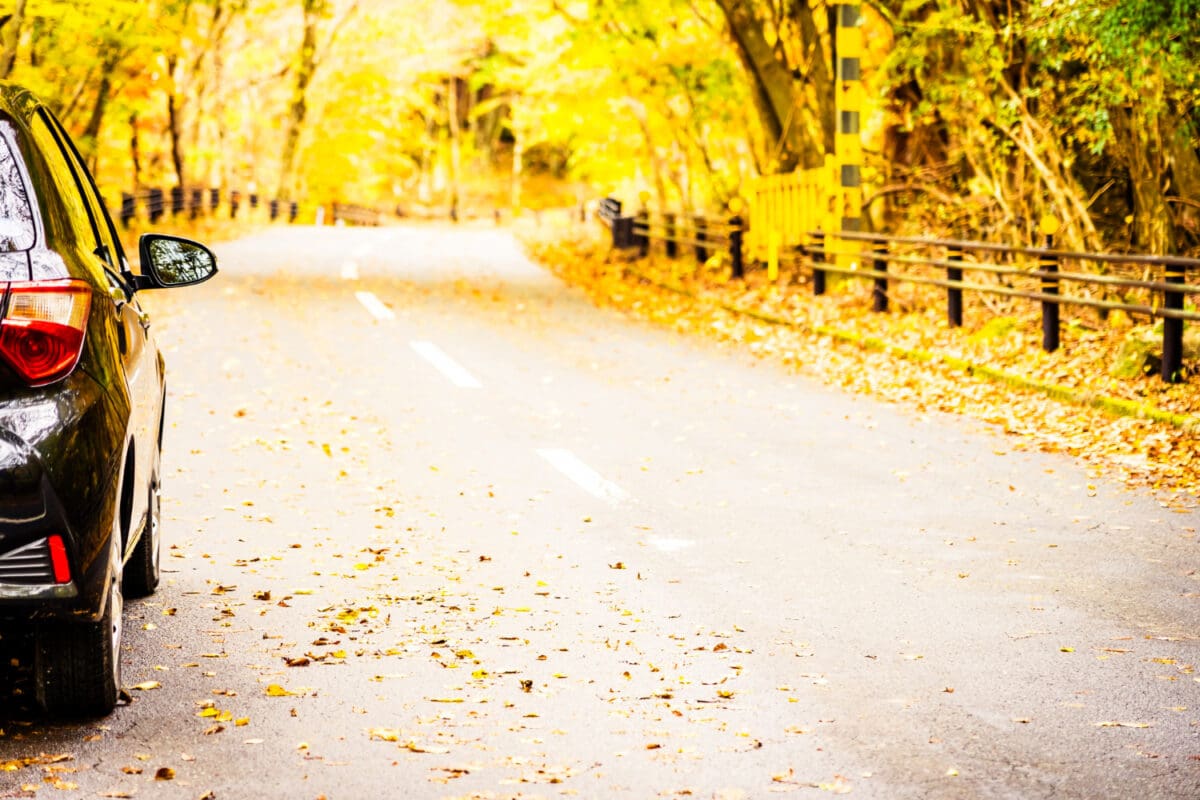 auto herbst